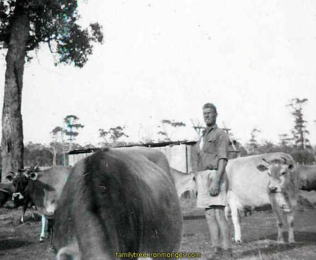 Charles Ironmonger on Karridale Farm 1953